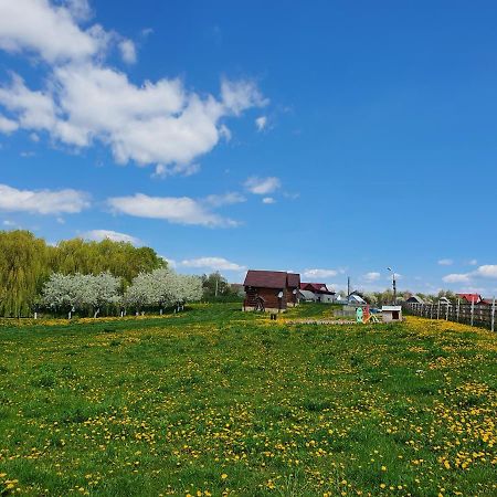 Popas Todiresti - La Iazul Cu 5 Casute Hotel Suceava Bagian luar foto