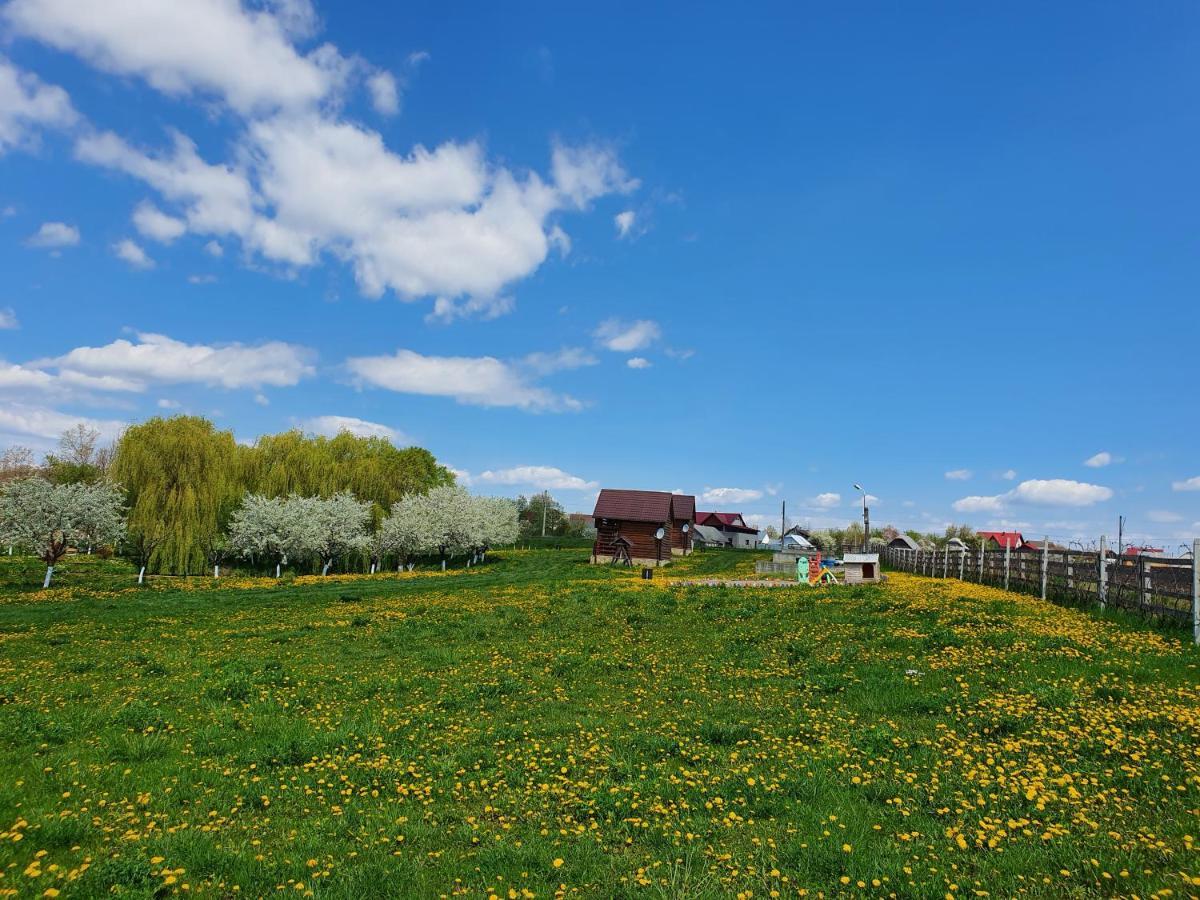 Popas Todiresti - La Iazul Cu 5 Casute Hotel Suceava Bagian luar foto