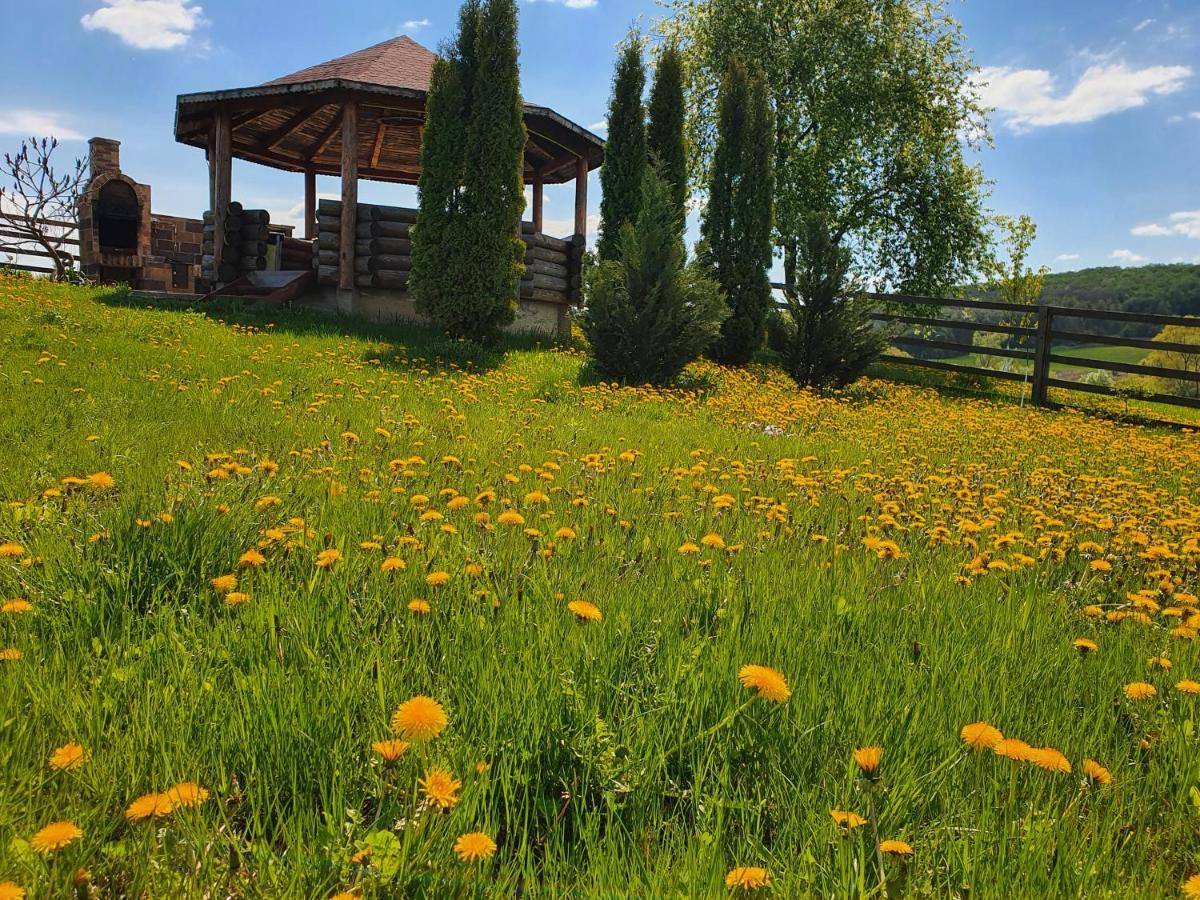 Popas Todiresti - La Iazul Cu 5 Casute Hotel Suceava Bagian luar foto